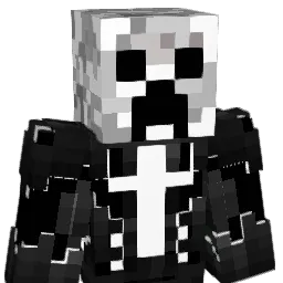 Sillow_22 Minecraft avatar bust