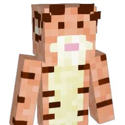 SillyMatty69 Minecraft avatar bust