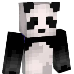 SilverThorn21 Minecraft avatar bust