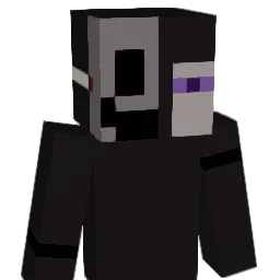 Silvernight116 Minecraft avatar bust