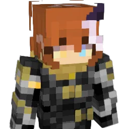Silvyhack