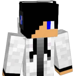 Simer03