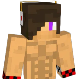 Simmler Minecraft avatar bust