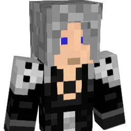 SimpleBot55's Minecraft skin