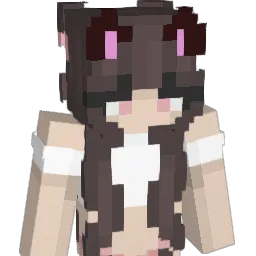 SinglePekka Minecraft avatar bust