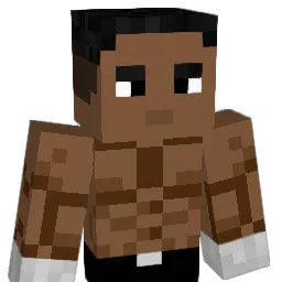 SirNasty1 Minecraft avatar bust