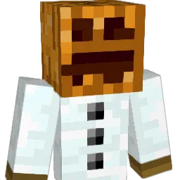 SirSnowDude Minecraft avatar bust