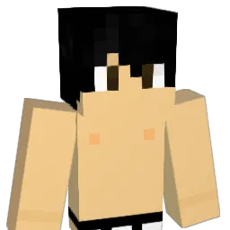 SirTiddy Minecraft avatar bust