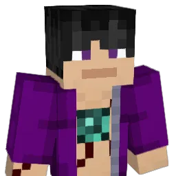 Sir_EndTraveller Minecraft avatar bust