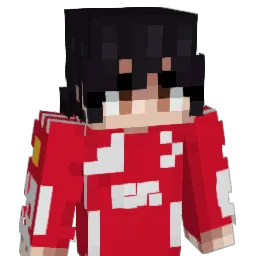 Siraj_6611 Minecraft avatar bust