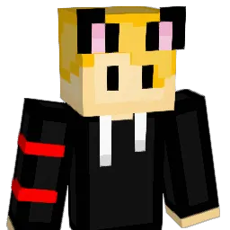 Sirdys