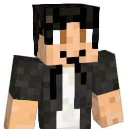 SiriusLee Minecraft avatar bust