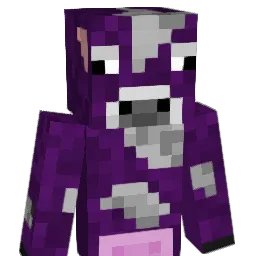 SirrNugget Minecraft avatar bust