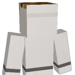 Sirtle_ Minecraft avatar bust
