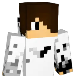 Siwon917 Minecraft avatar bust