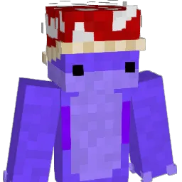 Sjedydyin Minecraft avatar bust