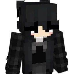 Sjn1219 Minecraft avatar bust