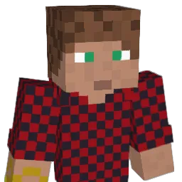 SkInsDenasty Minecraft avatar bust