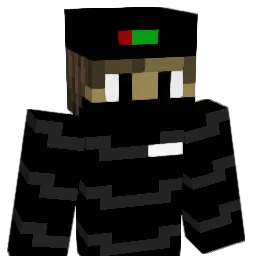 SkP_N4L Minecraft avatar bust