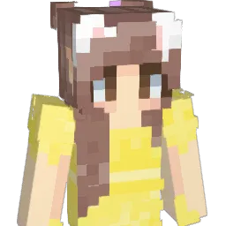 Skaomi Minecraft avatar bust