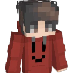 Skate8 Minecraft avatar bust