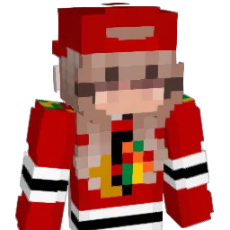 Skeewats Minecraft avatar bust