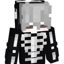 Skelsz Minecraft avatar bust