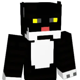 SkiCat3 Minecraft avatar bust