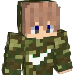 Skibol71 Minecraft avatar bust
