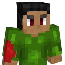 Skiddlesman's Minecraft skin