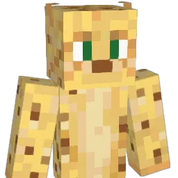 Skiddy45 Minecraft avatar bust