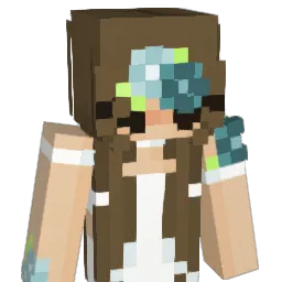 Skidyhush