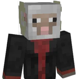 Skolota1337 Minecraft avatar bust
