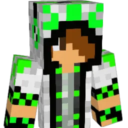 Skulls29 Minecraft avatar bust