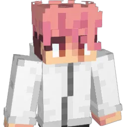 Skully_somone Minecraft avatar bust