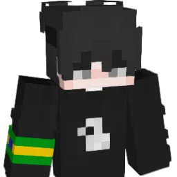 Sky007BW Minecraft avatar bust