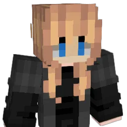 Sky3Rcz207 Minecraft avatar bust