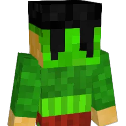 SkyHarper388 Minecraft avatar bust