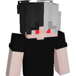 SkyHaveInsomnia Minecraft avatar bust