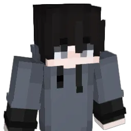 SkyIsSadFR Minecraft avatar bust