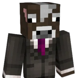 SkyNinja15 Minecraft avatar bust