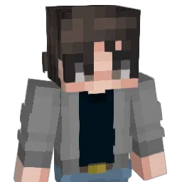 SkyResende25 Minecraft avatar bust