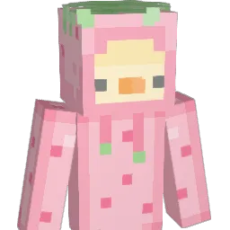 SkyTurtle727