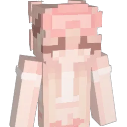 SkyTwilight11 Minecraft avatar bust