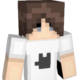 SkyWalkerSsS2 Minecraft avatar bust
