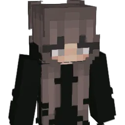 Sky_H1gh Minecraft avatar bust