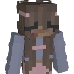 Skyeless Minecraft avatar bust