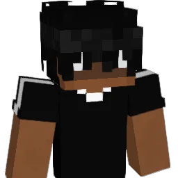 Skyerz1n Minecraft avatar bust