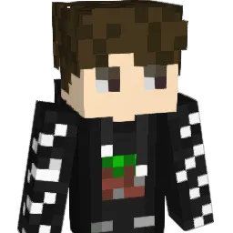 Skyfighter_Moon Minecraft avatar bust