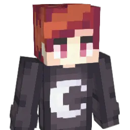 SkyisAmazing293 Minecraft avatar bust